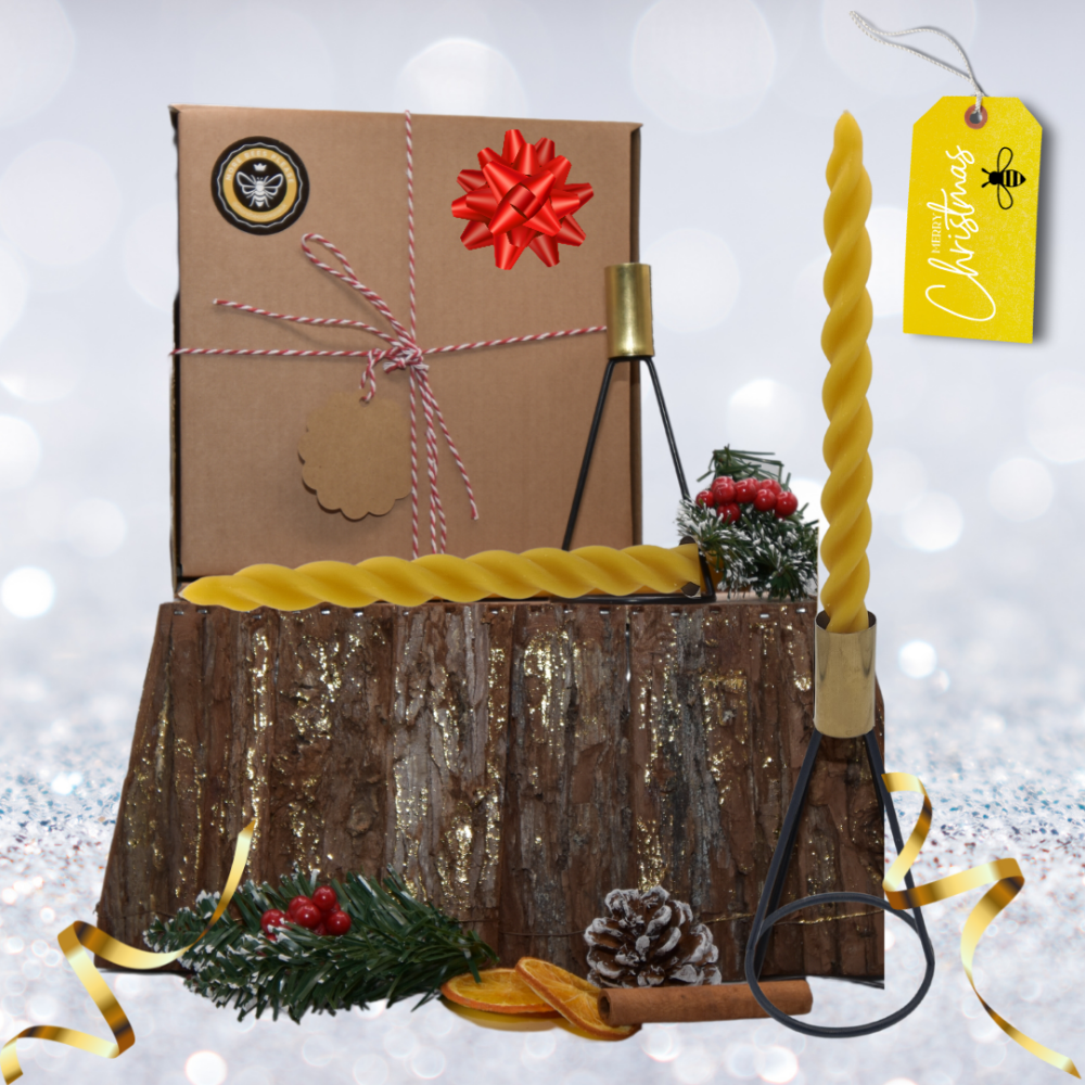 Main image alt text: Twisted beeswax candle gift set - 2 candles with holders, holiday table decor
